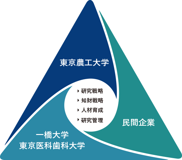 コンソーシアムの体制図