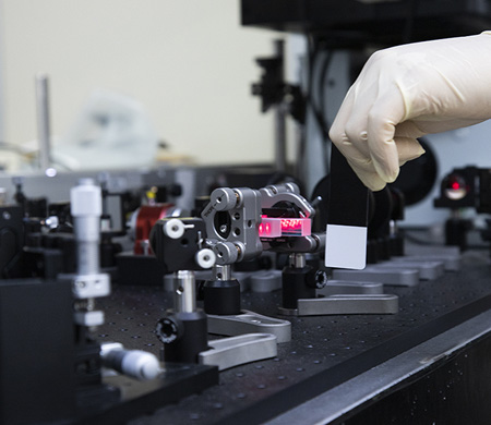 コヒーレントラマン顕微鏡イメージ